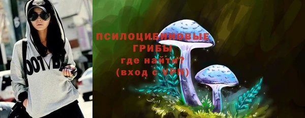СК Верхний Тагил