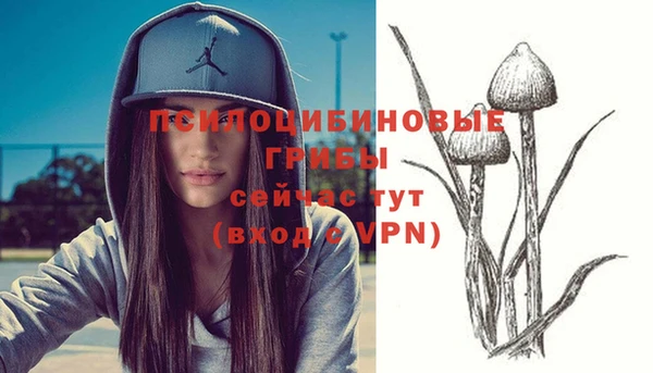 СК Верхний Тагил