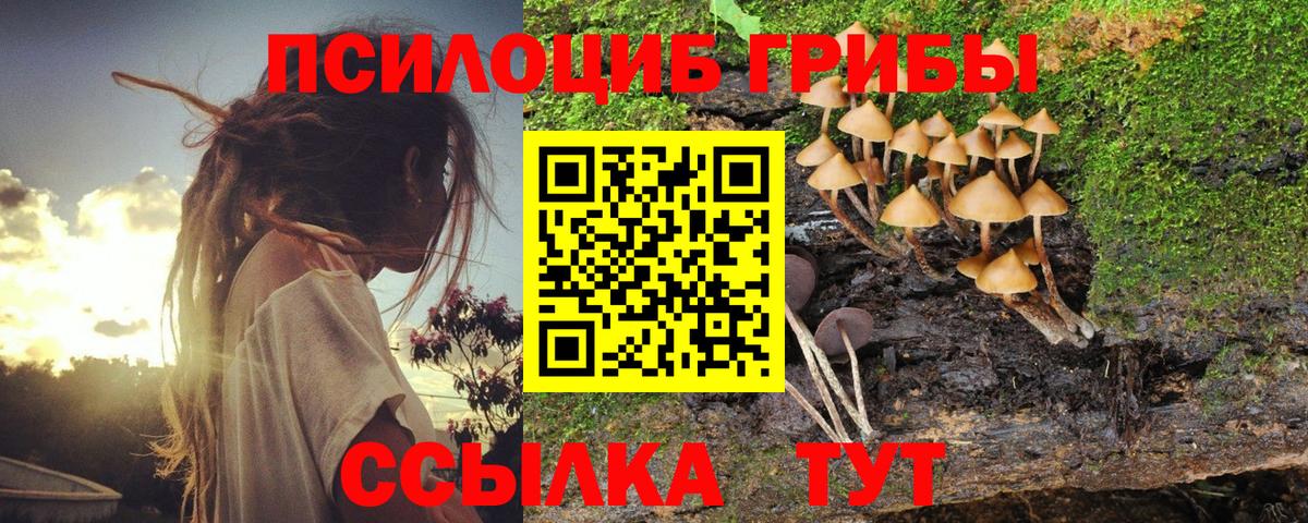 Псилоцибиновые грибы мицелий Выборг