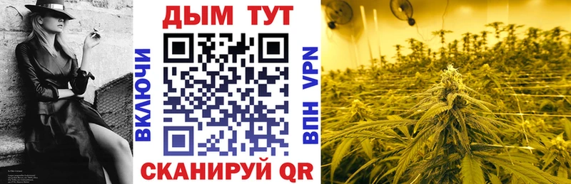 Шишки марихуана план  Выборг 